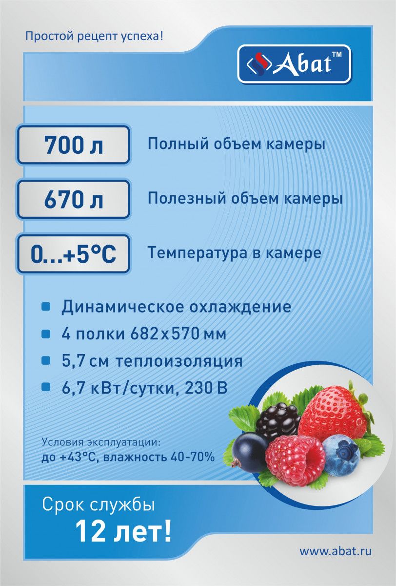Шкаф холодильный среднетемпературный ШХс-0,7-01 нерж. 